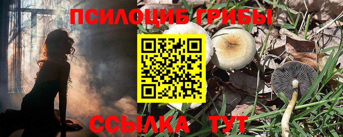 Галлюциногенные грибы Cubensis Керчь