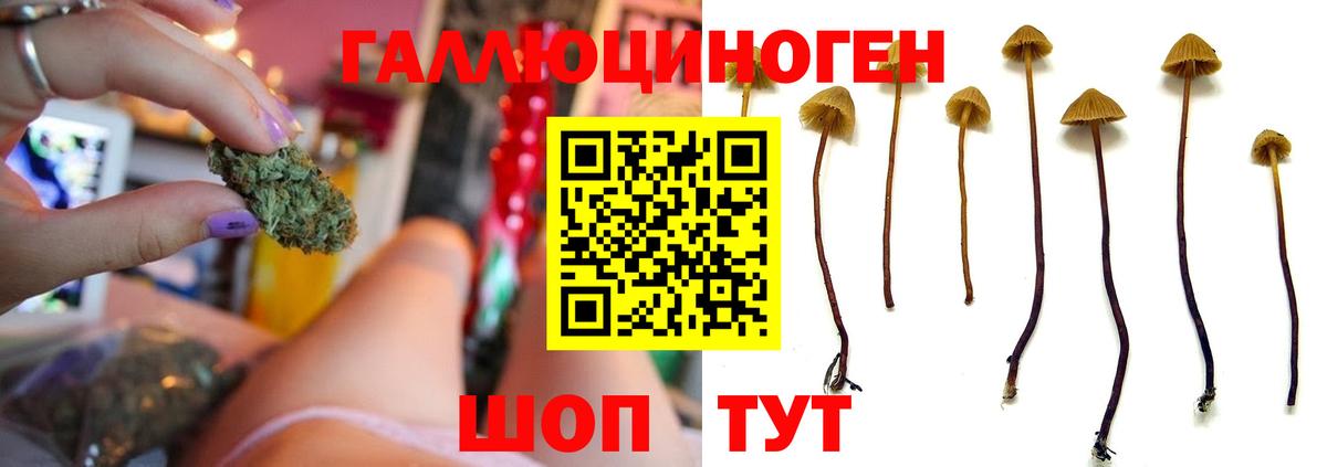 Псилоцибиновые грибы мицелий  Вход с VPN  Керчь 